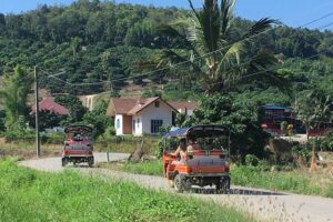 11 Day Tuk Tuk Adventure in Northern Thailand - Day-by-day: temples, Doi Inthanon trekking, elephants, and hill-tribe village time