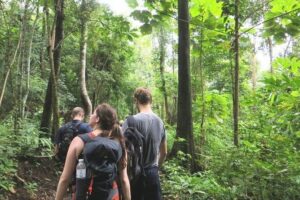 3-Day Chiang Dao Mountain Trek - Day 1: drive north, market stop, and a first taste of hill-country hiking