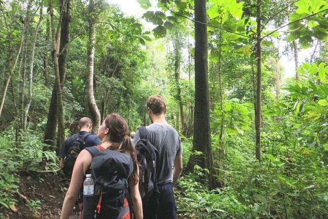 3-Day Chiang Dao Mountain Trek - Day 1: drive north, market stop, and a first taste of hill-country hiking