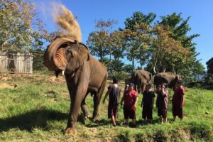 5 Day Tuk Tuk Adventure in Chiang Mai - with driver - Day 2 up the valley: Maevang Elephant Home and remote mountain life