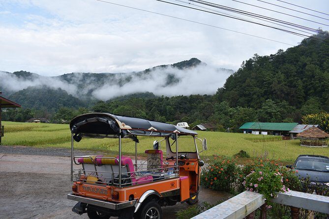 A stunning 11 Day Tuk Tuk Adventure in Northern Thailand - with driver - Day 1–2: Mae Wang National Park and the Mae Sapok elephant day