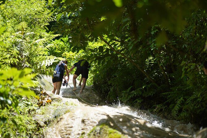 Bua Tong Waterfall Adventure& Huge Cave included Thai Buffet Tour - Lunch Picnic and Snacks: The Practical Recharge You’ll Feel Later