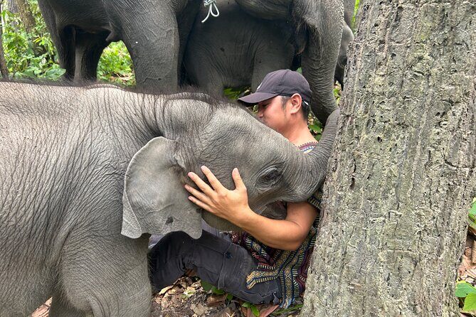 Chiang Mai 1 Day: Elephant Sanctuary, Waterfall & Bamboo Rafting - Entering the Doi Inthanon Elephant Sanctuary Camp