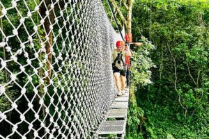 Chiang Mai 3 in 1 Zipline, Elephants and Sticky Waterfall - Zipline through Chiang Mai’s jungle canopy: guidance, sky bridges, and quick confidence