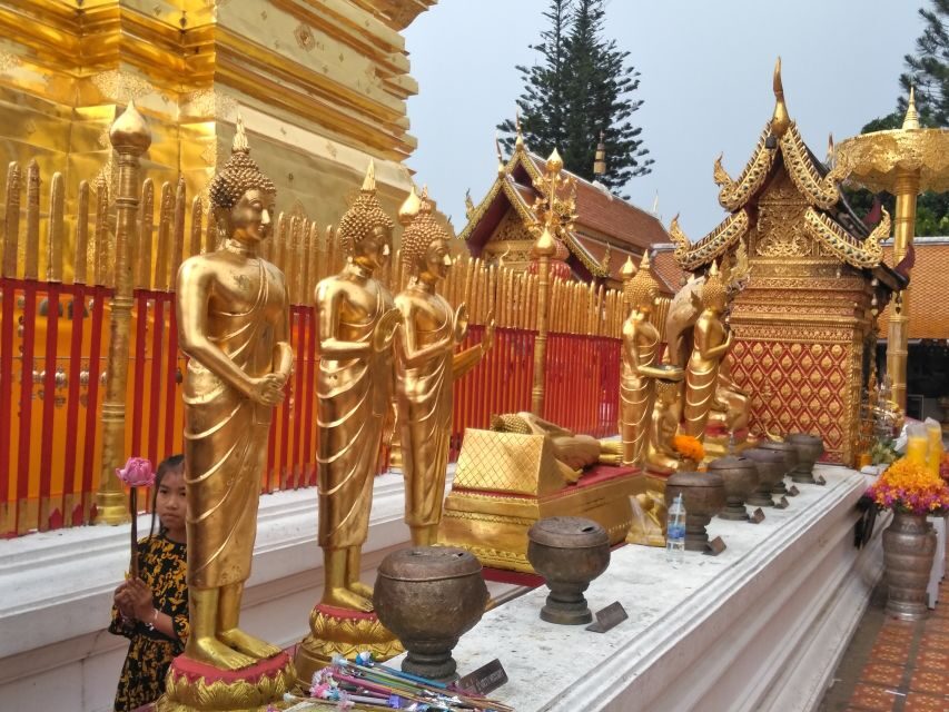 Chiang Mai: 7-Hour Doi Suthep National Park Summit Hiking - Wat Pha Lat monk trail: the first real hiking payoff