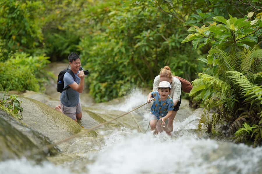 Chiang Mai: Bua Thong Sticky Waterfall & Huge Cave & Buffet - Bua Tong Cave and the Legend Behind Those Steps
