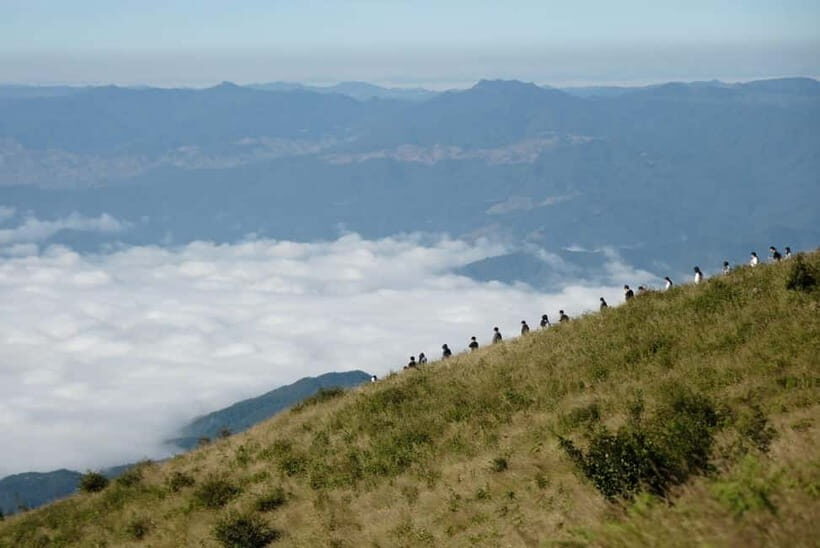 Chiang Mai: Doi Inthanon Park and Kew Mae Pan 2-Hour Hike - Doi Inthanon summit: 2,565 meters of Thailand’s top air