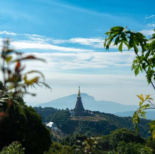 Chiang Mai: Doi Inthanon Park and Pha Dok Siew Trail Trek - The Early Van Ride and the First Scenic Hit: Summit Area Without the Whole Grind
