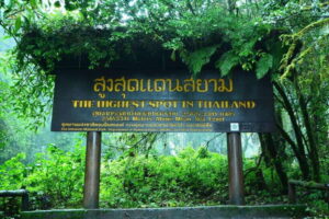 Chiang Mai: Doi Inthanon Park Tour & Kew Mae Pan Trail Hike - Early pickup from Chiang Mai: how the day starts