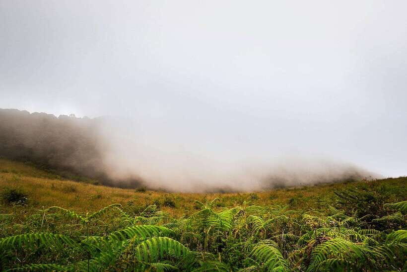 Chiang Mai: Doi Inthanon Park Tour & Kew Mae Pan Trail Hike - Hill-tribe hamlet and markets: more than a photo stop