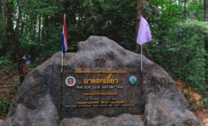 Chiang Mai: Doi Inthanon Trip with Pha Dok Siew Guided Trek - Why Doi Inthanon feels different: altitude, weather, and the park’s purpose