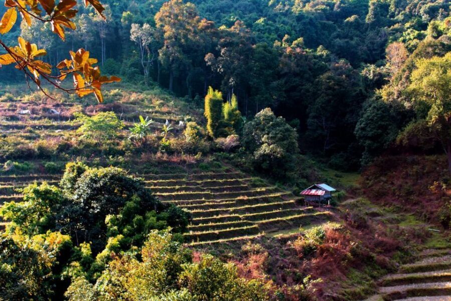 Chiang Mai: Doi Inthanon, Waterfalls, & Tribal Villages Tour - Getting there and back: pickup order, pacing, and comfort reality