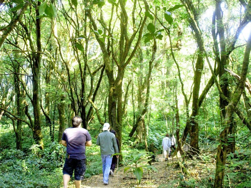 Chiang Mai: Doi Inthanon, Waterfalls, & Tribal Villages Tour - Should you book this Doi Inthanon tour?