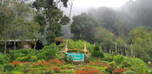 Chiang Mai: Doi Suthep Temple & Hmong Village Tour - Key Points to Know Before You Go