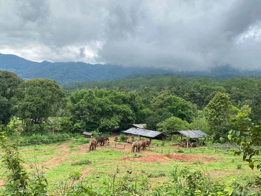Chiang Mai: Elephant Dream Project Sanctuary - Half-Day - Getting picked up: start on time, stay relaxed