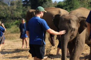 Chiang Mai: Elephant Sanctuary Bamboo Raft & Padthai Cooking - The Drive From Chiang Mai: Timing, Comfort, and What Can Catch You Off Guard