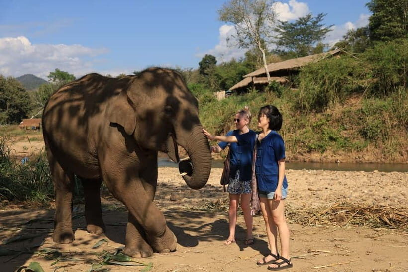 Chiang Mai: Elephant Sanctuary Bamboo Raft & Padthai Cooking - Group Size, Hands-On Level, and How to Get the Most Out of It