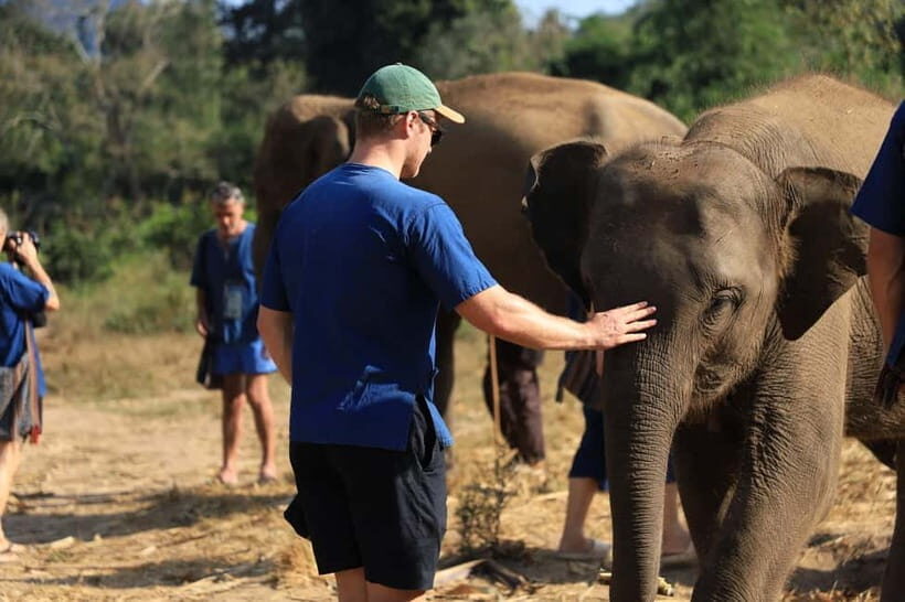 Chiang Mai: Elephant Sanctuary Bamboo Raft & Padthai Cooking - The Drive From Chiang Mai: Timing, Comfort, and What Can Catch You Off Guard