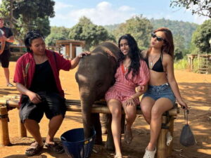 Chiang Mai: Elephant Sanctuary Feeding Program Half-Day Tour - How the Day Flows: From Hotel Pickup to Forest Stations