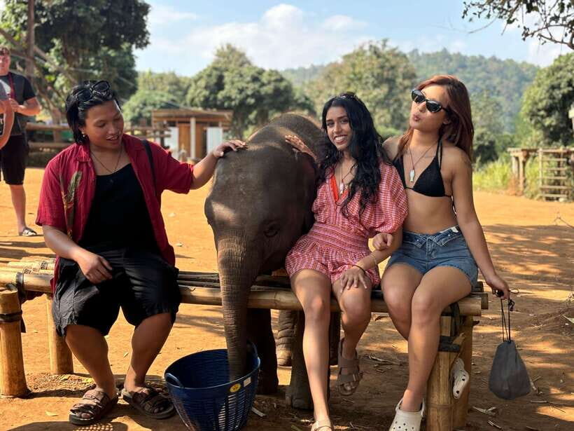 Chiang Mai: Elephant Sanctuary Feeding Program Half-Day Tour - How the Day Flows: From Hotel Pickup to Forest Stations