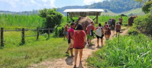 Chiang Mai: Elephant Sanctuary Local Hill Tribe Caretakers - Elephant Care Without the Performance: Feeding, Walking, and Gentle Contact