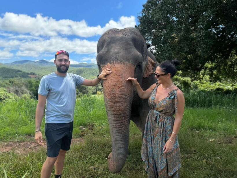 Chiang Mai: Elephant Sanctuary, Monk Trail & Doi Suthep Tour - Pon Elephant Thailand: ethical elephant care you can feel good about