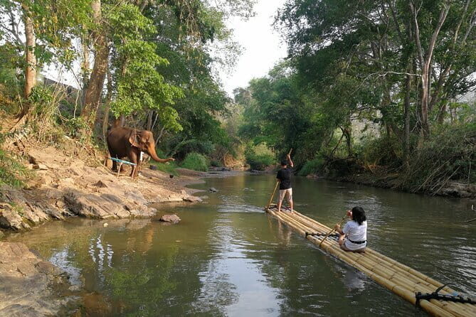 Chiang Mai Elephant Sanctuary Observation and Bamboo Rafting - Price and value check at $61.92: what you’re really paying for