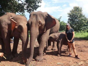 Chiang Mai: Elephant Sanctuary & Waterfall Group Tour - Pon Elephant Thailand: what makes the elephant time feel ethical