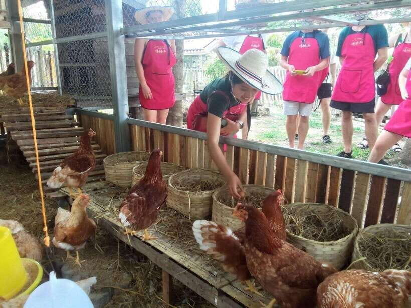 Chiang Mai: Half Day Cooking Class at Organic Farm - The local market stop: ingredients with purpose