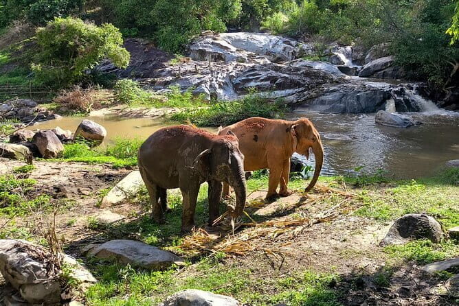 Chiang Mai Half Day Elephant Sanctuary Observation and Waterfall - Entering the Joy Elephant Sanctuary Zone Near Thung Luang