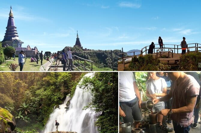 Chiang Mai Half Day Tour: Doi Inthanon Elephant Sanctuary - Ethics Check: The Real Question Isn’t Only Chains