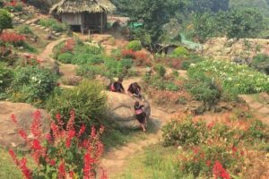 Chiang Mai Iconic Temples and City Tour - Morning or Afternoon: Pick Your Weather and Your Energy