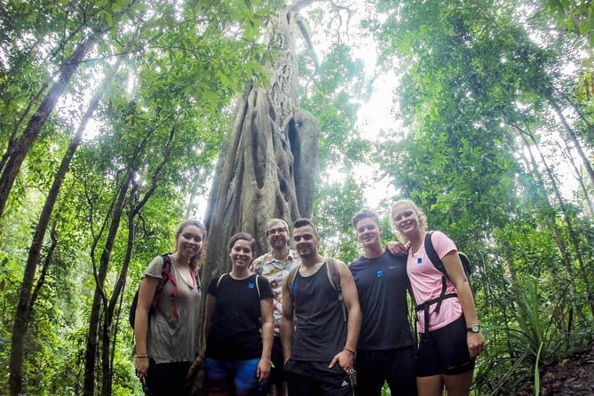 Chiang Mai: Inthanon, Elephant Sanctuary Observation & Waterfall - Thung Luang: starting in rural Chiang Mai