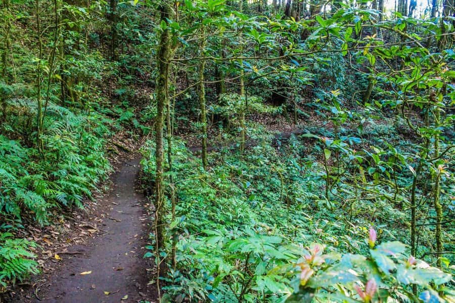Chiang Mai: Kew Mae Pan Nature Trail & Doi Inthanon Day Trip - Karen Hill Tribe visit: culture you can ask about