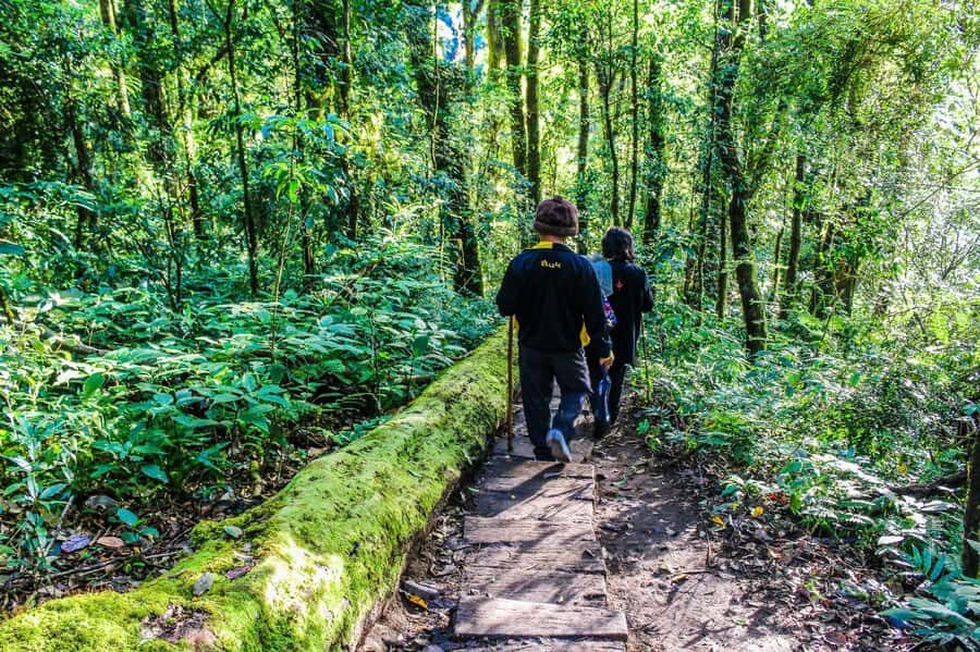 Chiang Mai: Kew Mae Pan Nature Trail & Doi Inthanon Day Trip - Wachirathan Falls: when the day slows down and the water takes over