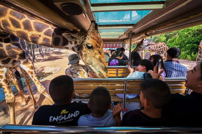 Chiang Mai Night Safari: Entry Ticket with Tram Ride - Key highlights you’ll care about