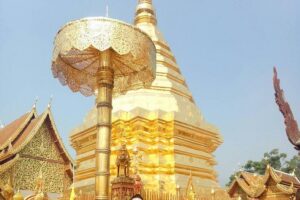 Chiang Mai Private Tour with Tea Plantation, Karen Village, Doi Suthep - Private Pickup and Timing: How Your 8 Hours Feel