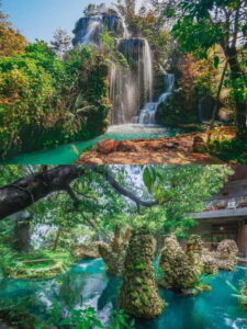 Chiang Mai: Sticky Waterfall & Angel Waterfall Park Day Tour - Dan Tewada Land of Angels: misty paths, Seven-Color Fountain, and cute animals