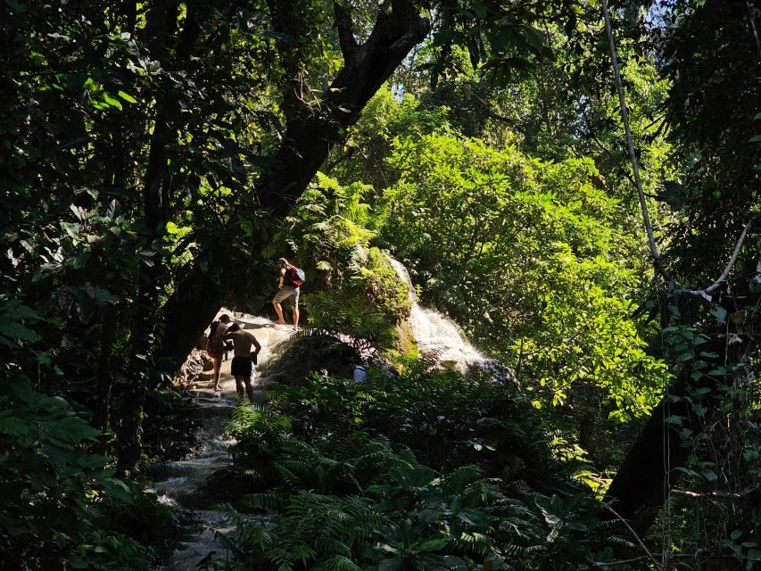 Chiang Mai: Sticky Waterfall Half-Day Tour & Hotel Transfers - Hotel pickup and the ride to Bua Thong