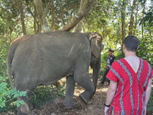 Chiang Mai Untouched Elephant: Nature Walk & Waterfall Trek - Getting Out of Chiang Mai: Trucks, Timing, and Comfort Reality