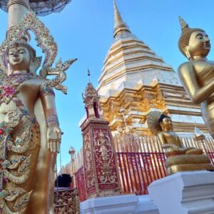 Chiang Mai: Wat Pha Lat & Wat Phra That Doi Suthep Tour - Getting There: Pickup Window, Van Comfort, and Timing That Fits the Light