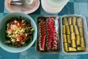 Chiangmai Half Day Visit and Wildlife Experience - What You Actually Do: Feeding, Washing, and Up-Close Time