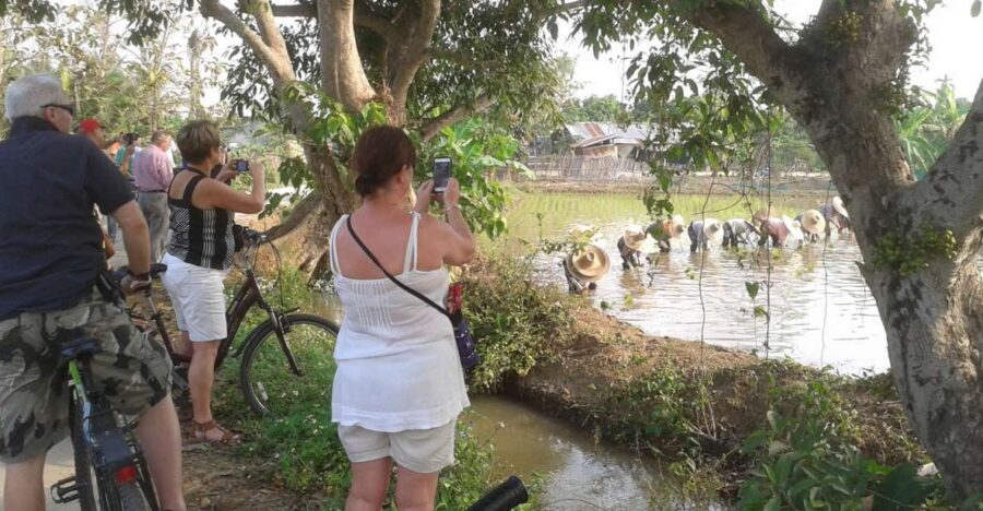 Colors of Chiang Mai Guided Bicycle Tour - Bike, pace, and safety on the road you’ll actually share with traffic