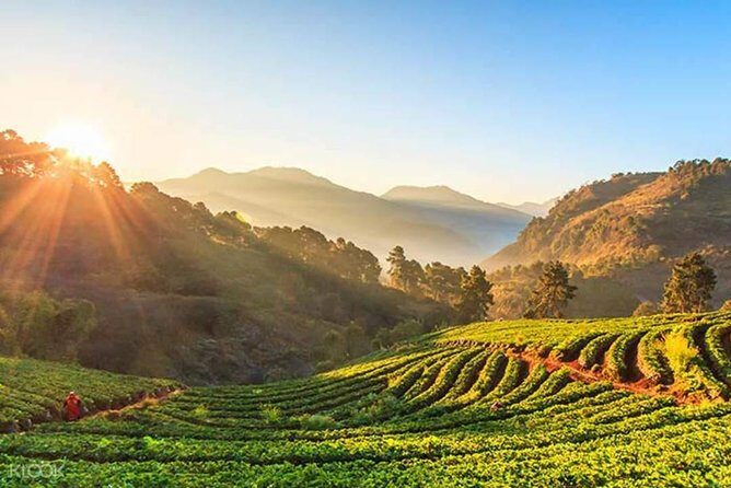 Doi Inthanon Discovery Tour: Waterfalls, Villages & Highest Peak - Should you book the Doi Inthanon Discovery Tour?