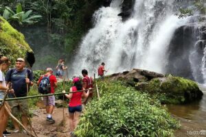 Doi Inthanon National park and 2 hours hiking with private tour - Thailand’s hill evergreen forest: Ang Ka Nature Trail basics