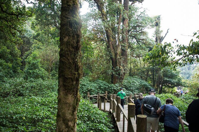 Doi Inthanon National Park Private Tour – Full Day - Wachirathan Falls: the 80-meter mist stop