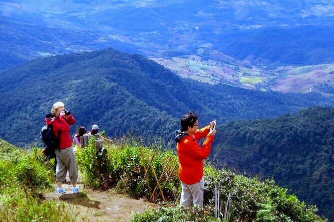 Doi Inthanon National Park with Nature Trail Trekking 1-Day Tour - Price and value: why $47.99 can make sense here
