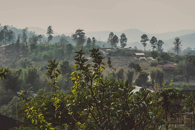 Elephant Sightings , Bamboo Rafting Through The Jungle, Swimming In a Waterfall - Mae Wang National Park Bamboo Rafting: Learn to Captain Your Way Down