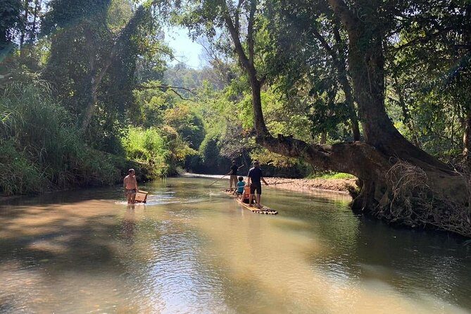 Elephant Sightings , Bamboo Rafting Through The Jungle, Swimming In a Waterfall - Mae Wang Waterfall Swimming: Water Massage, Jungle Play, and Cool Down Time