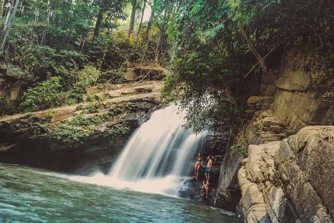 Elephant Sightings , Bamboo Rafting Through The Jungle, Swimming In a Waterfall - Elephant Sightings in Chiang Mai: Build the Animal Time Into Your Day